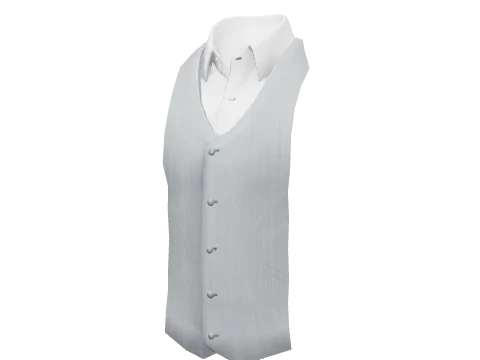 Light Gray Suit Vest