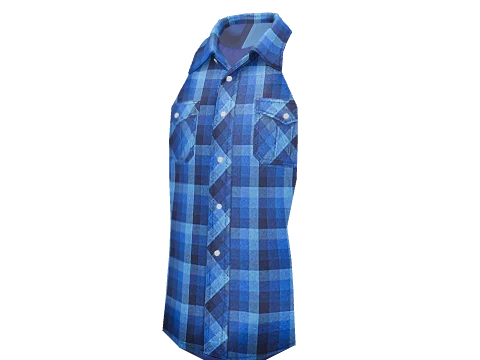 Blue Check Shirt