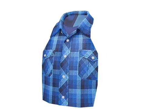 Blue Check Shirt