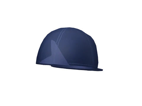 Navy Prolaps Flat Backwards