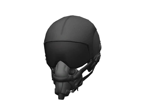 Black Flight Helmet