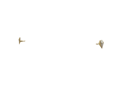 Gold Diamond Studs