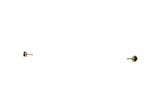 Gold Onyx Studs