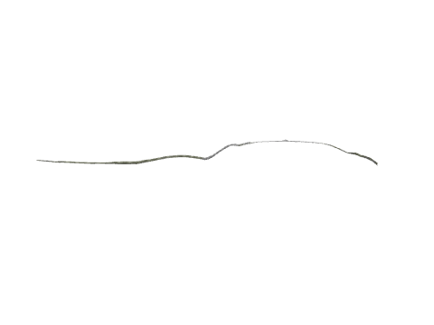 cs1_08_bridgedecal_01, a GTA V map model