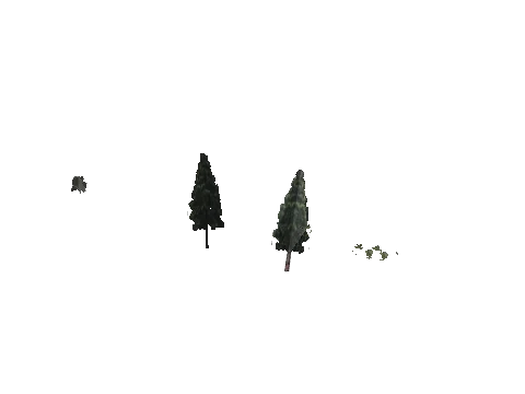 cs1_09_props_veg24_24_lod, a GTA V map model