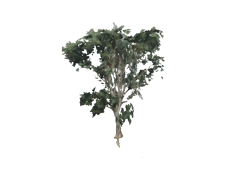 cs1_09_props_veg29_30_lod, a GTA V map model