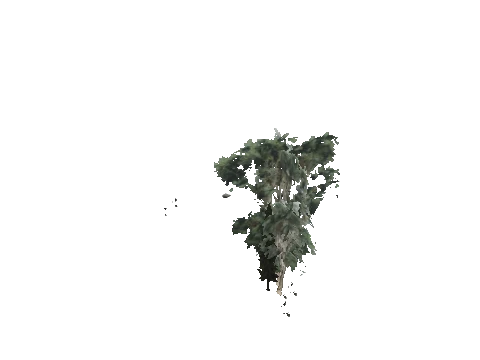 cs1_09_props_veg29_slod, a GTA V map model