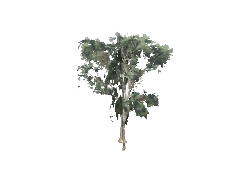 cs1_09_props_veg30_48_lod, a GTA V map model