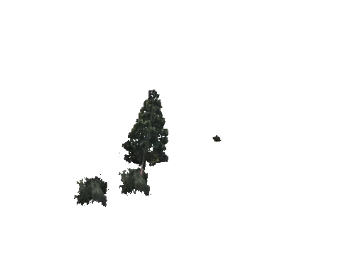 cs1_09_props_veg33_19_lod, a GTA V map model