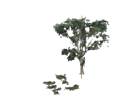 cs1_09_props_veg33_26_lod, a GTA V map model