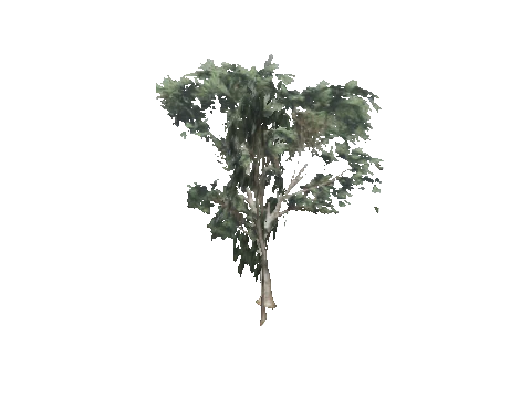 cs1_09_props_veg33_33_lod, a GTA V map model