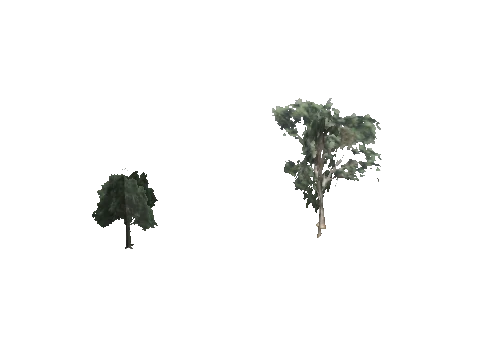 cs1_09_props_veg35_80_lod, a GTA V map model