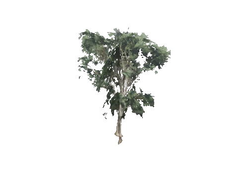cs1_09_props_veg37_25_lod, a GTA V map model