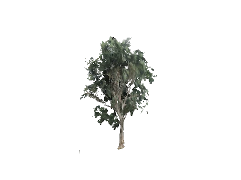 cs1_09_props_veg38_48_lod, a GTA V map model