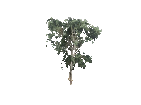 cs1_09_props_veg38_51_lod, a GTA V map model