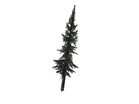 cs1_11_props_veg_10509_20_lod, a GTA V map model