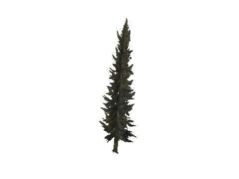 cs1_11_props_veg_10624_13_lod, a GTA V map model