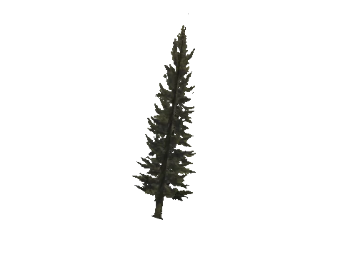 cs1_11_props_veg_10624_22_lod, a GTA V map model