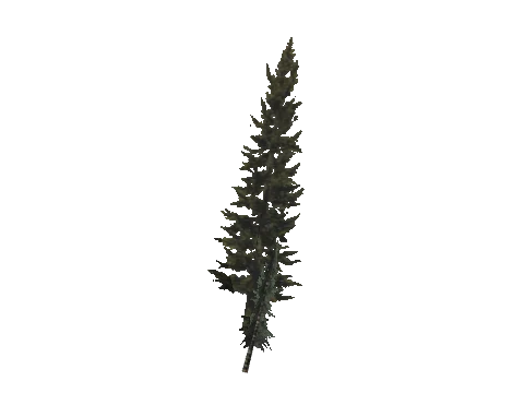 cs1_11_props_veg_10729_35_lod, a GTA V map model