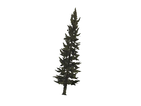 cs1_11_props_veg_10729_36_lod, a GTA V map model