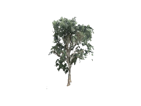 cs1_11_props_veg_10730_59_lod, a GTA V map model