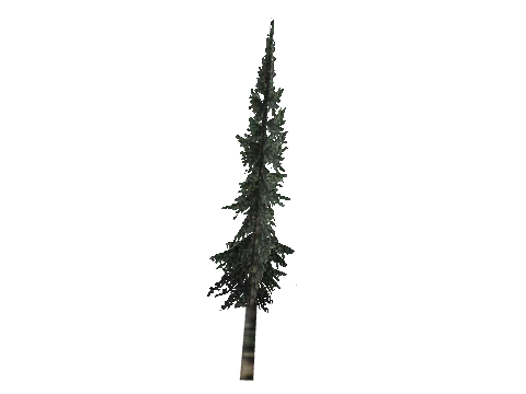 cs1_11_props_veg_10730_96_lod, a GTA V map model