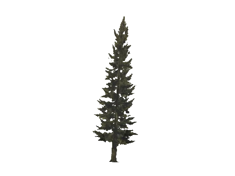 cs1_11_props_veg_10730_98_lod, a GTA V map model
