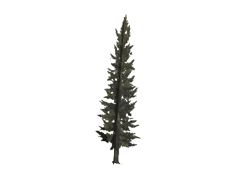 cs1_11_props_veg_10733_14_lod, a GTA V map model