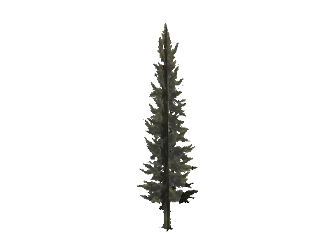 cs1_11_props_veg_10733_16_lod, a GTA V map model