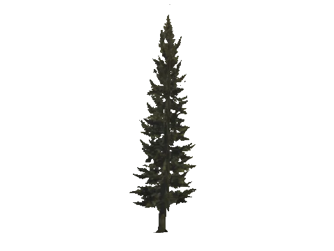 cs1_11_props_veg_10733_17_lod, a GTA V map model