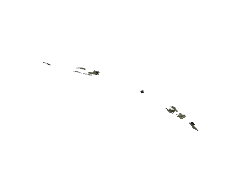 cs1_11_props_veg_10734_12_lod, a GTA V map model