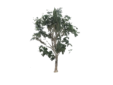cs1_11_props_veg_10736_11_lod, a GTA V map model