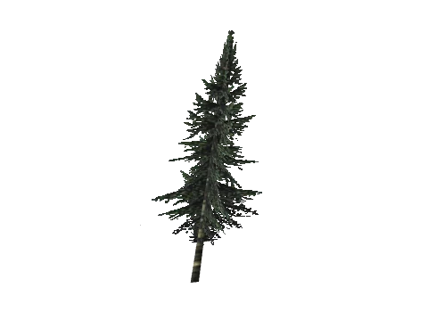 cs1_11_props_veg_10736_33_lod, a GTA V map model