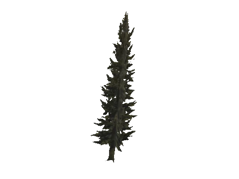 cs1_11_props_veg_10736_35_lod, a GTA V map model