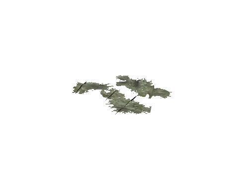 cs1_11_props_veg_10737_18_lod, a GTA V map model