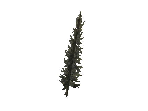 cs1_11_props_veg_10741_29_lod, a GTA V map model