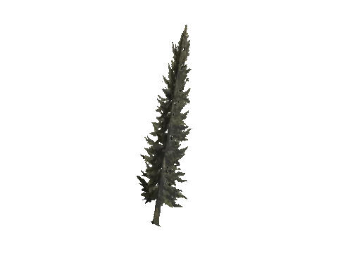 cs1_11_props_veg_10741_31_lod, a GTA V map model