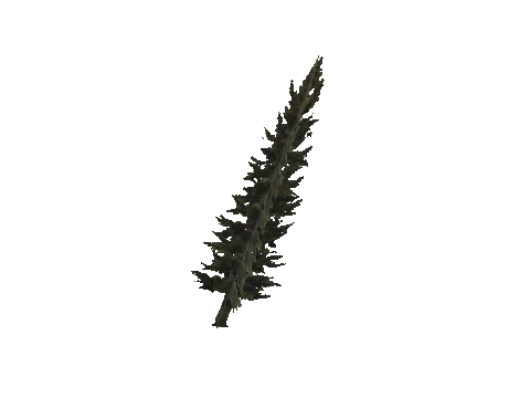 cs1_11_props_veg_10741_38_lod, a GTA V map model