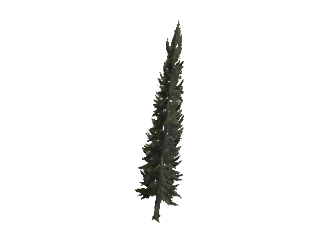 cs1_11_props_veg_10742_23_lod, a GTA V map model
