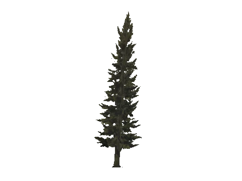 cs1_11_props_veg_10816_08_lod, a GTA V map model