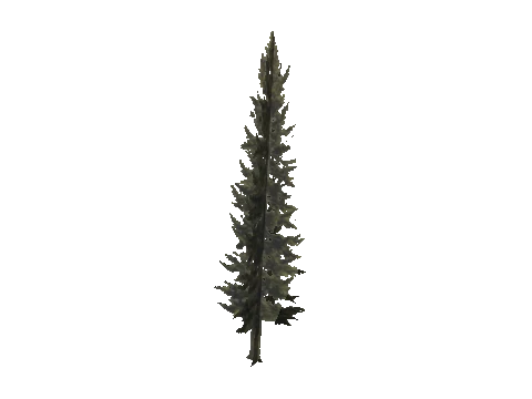 cs1_11_props_veg_10816_26_lod, a GTA V map model