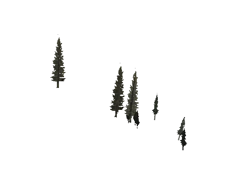 cs1_11_props_veg_10817_30_lod, a GTA V map model