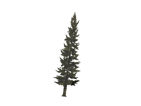 cs1_11_props_veg_10820_11_lod, a GTA V map model
