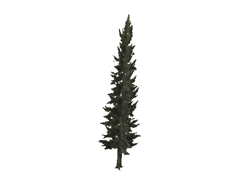 cs1_11_props_veg_10820_12_lod, a GTA V map model