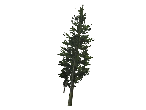 cs1_11_props_veg_10820_17_lod, a GTA V map model