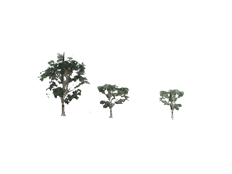 cs1_11_props_veg_10822_02_lod, a GTA V map model