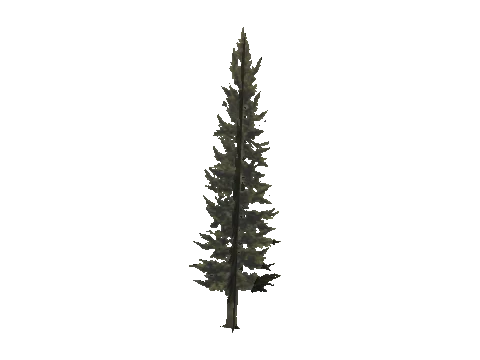 cs1_11_props_veg_10822_21_lod, a GTA V map model