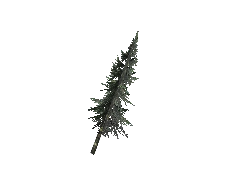 cs1_11_props_veg_10823_11_lod, a GTA V map model