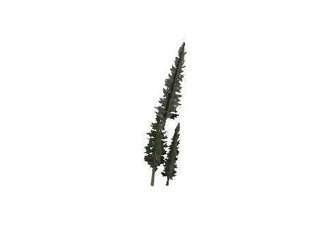 cs1_11_props_veg_10826_12_lod, a GTA V map model