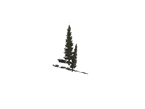 cs1_11_props_veg_10827_11_lod, a GTA V map model